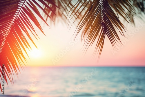 Sunset Through Tropical Palm Leaves  Pink Sky and Sea