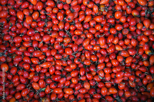 Ripe red rosehip berries
