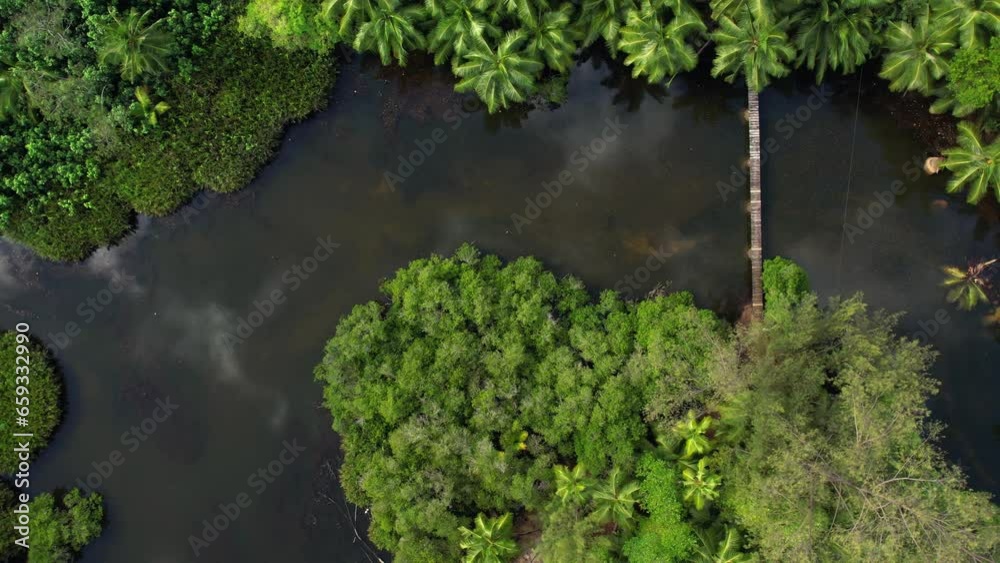 Drone shot over river with wooden bridge, lush vegetation, reflection in water of clouds and palm trees, Mahe, Seychelles Drone shot over river with wooden bridge, lush vegetation, reflection in water of clouds and palm trees, Mahe, Seychelles