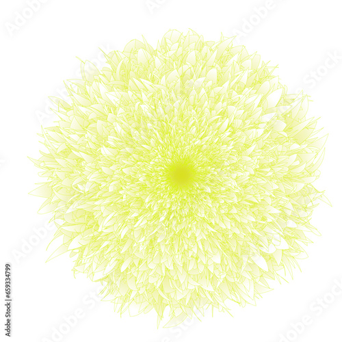 Abstract Flower