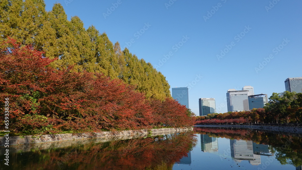 秋の公園 秋の公園