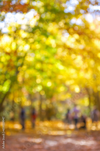 Autumn golden park, blurred background. © photolink