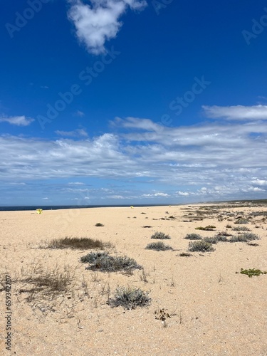 Empty sand beach, blue seashore © Oksana