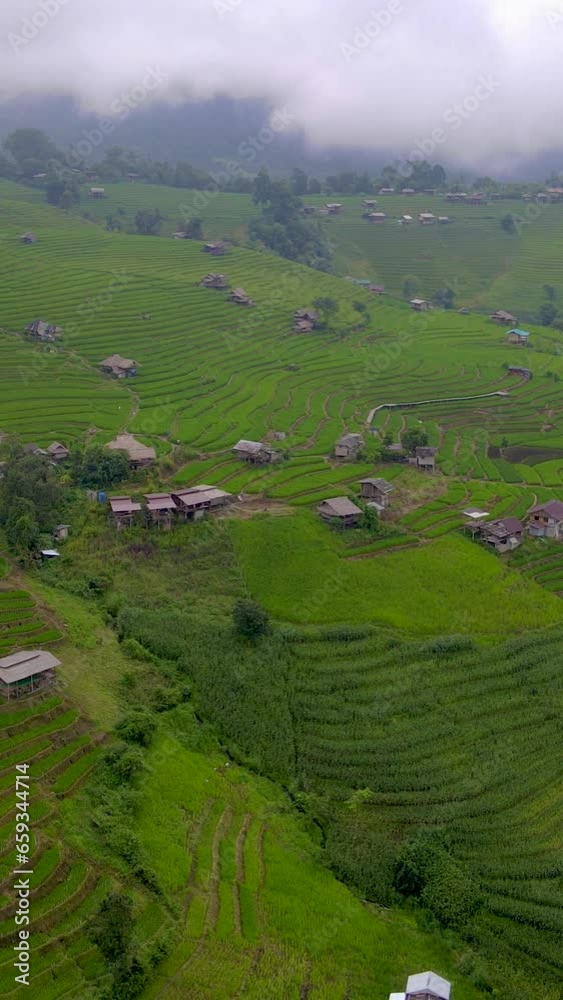 Terraced Rice Field in Chiangmai, Thailand, Pa Pong Piang rice terraces, green rice paddy field in Pa Pong Pieng, Mae Chaem, Chiang Mai, Thailand