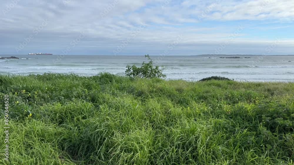 Green bushy grass beach with ships out at sea at sunset Green bushy grass beach with ships out at sea at sunset