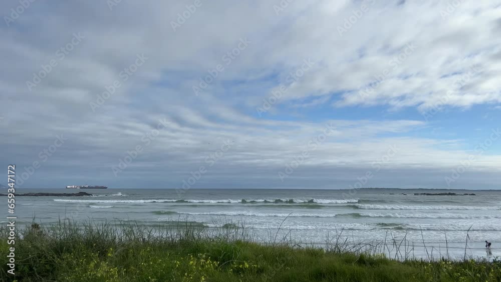 Ships out at sea from a beach with rocks in the water Ships out at sea from a beach with rocks in the water