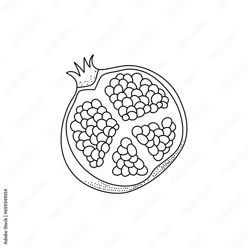 Vector sketch of tropical pomegranate fruit isolated on a white background Vector sketch of tropical pomegranate fruit isolated on a white background