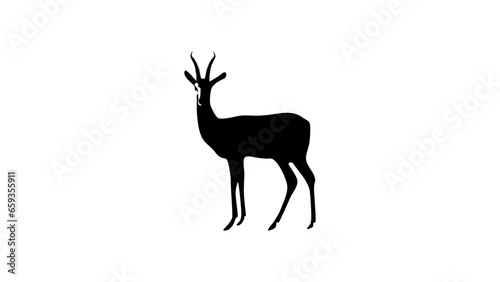 gazelle black vector silhouette