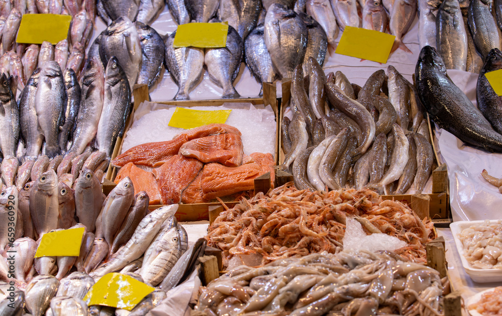 Turkey - Large amount of fresh seafood at İzmir Kemeraltı fish market