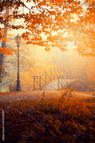 Jesienny poranek w parku, krajobraz
