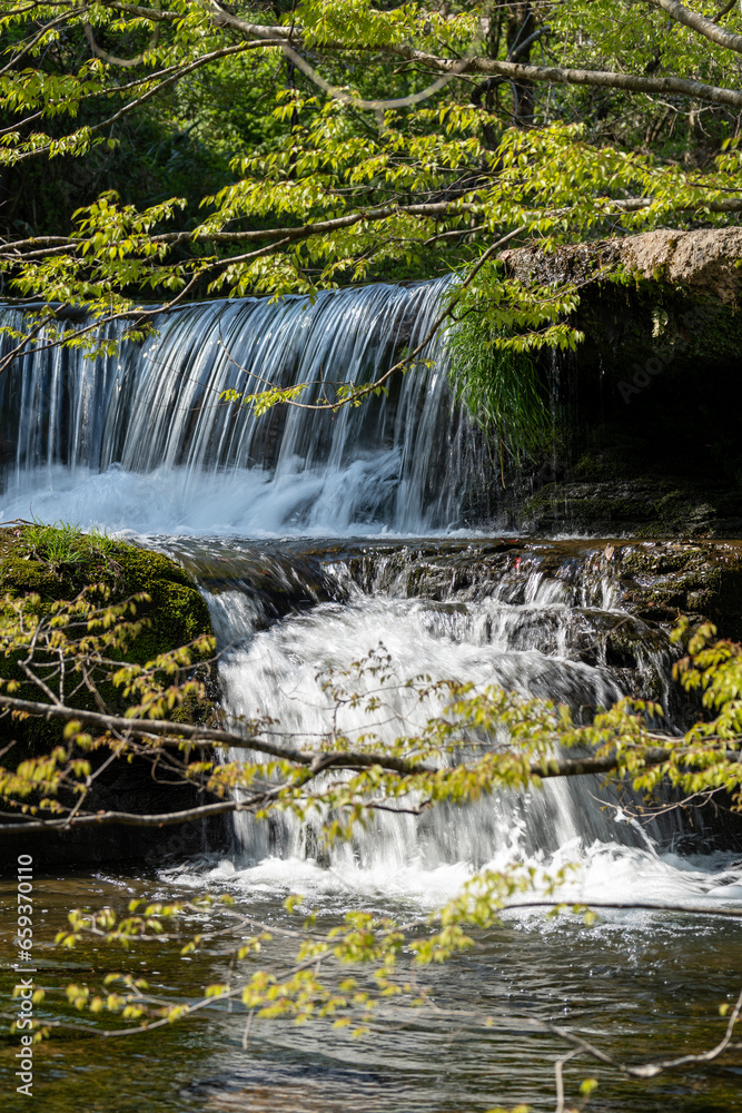 Obraz premium 新緑に包まれた峡谷の滝・宮島峡