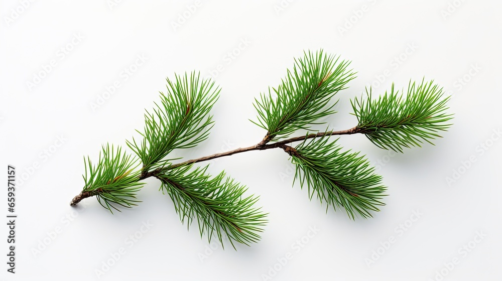 A beautiful image showing two branches of a pine tree on a white background, ideal for nature and Christmas. Generative AI A beautiful image showing two branches of a pine tree on a white background, ideal for nature and Christmas. Generative AI