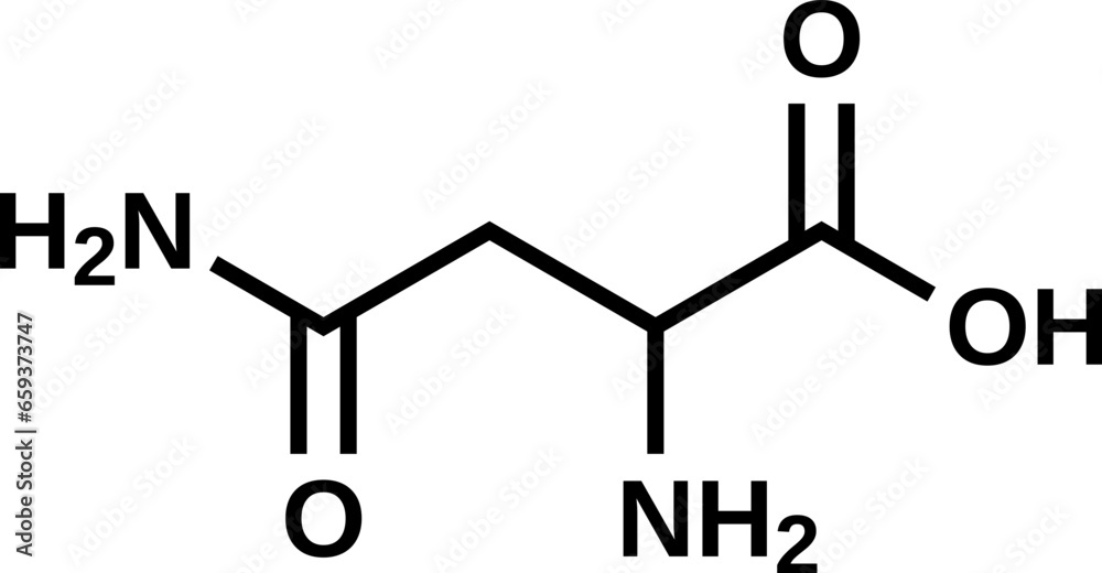 Φωτογραφία Amino acid asparagine structural formula, vector illustration