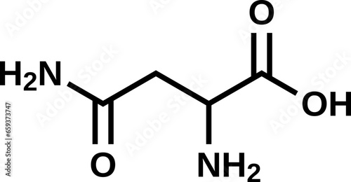 Amino acid asparagine structural formula, vector illustration