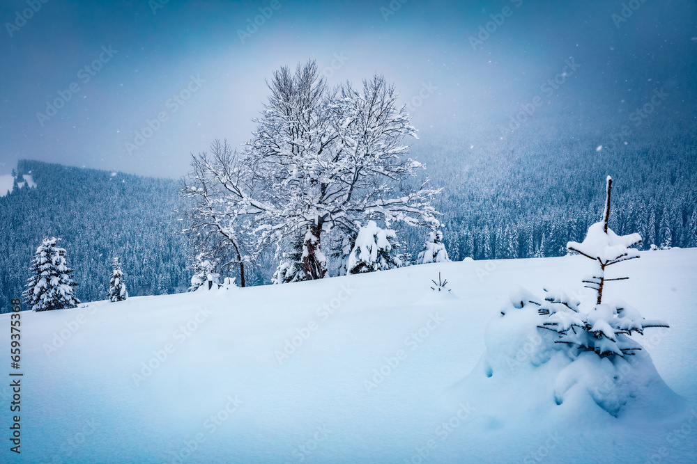 Beautiful winter scenery. Dramatic morning view of mountain forest. Stunning winter landscape of Carpathian mountains. Beauty of nature concept background.