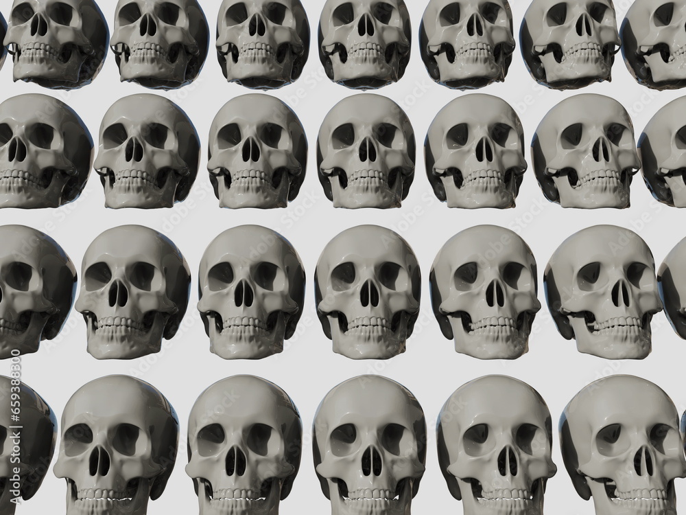 Row of Realistic Human Skull Cranium Isolated on White Backgroun