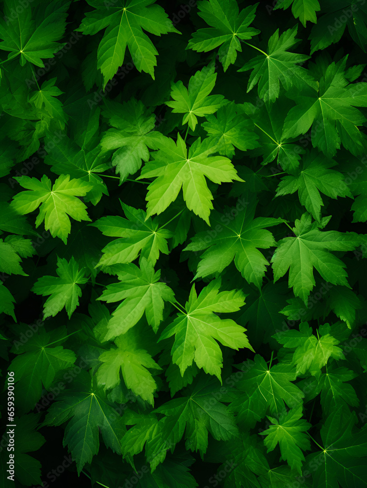 Green leaves abstract natural background wallpaper Green leaves abstract natural background wallpaper