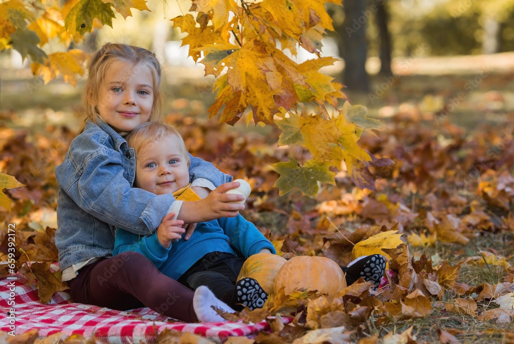 Portrait of a little boy 9 months old and a girl 4 years old outdoors. Happy children in the autumn park with pumpkins. Happy childhood and fatherhood. Portrait of a little boy 9 months old and a girl 4 years old outdoors. Happy children in the autumn park with pumpkins. Happy childhood and fatherhood.