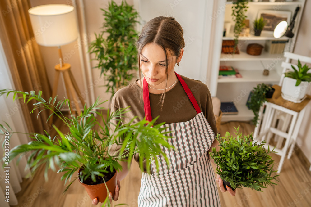 woman gardener florist take care grow cultivate plants at home woman gardener florist take care grow cultivate plants at home