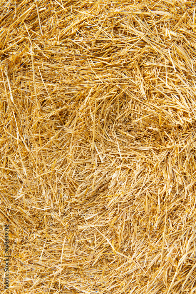 Hay texture. Hay bales are stacked in large stacks. Harvesting in agriculture. Hay texture. Hay bales are stacked in large stacks. Harvesting in agriculture.