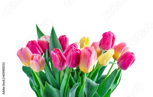 Mix of tulips flowers on white background