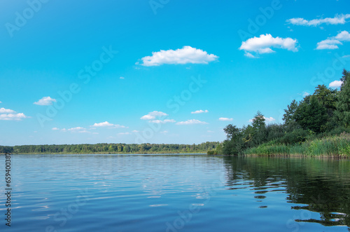 Beautiful summer landscape on the lake  the green grass and blue sky.
