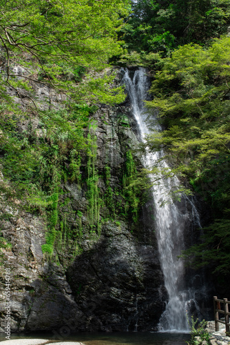 Minoh Falls  Osaka  Japan in summer