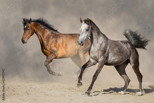Fototapeta Naklejka Na Ścianę i Meble -  Couple horse run