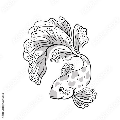 Elegance and beautiful fish print design for t-shirt. Vector animal illustration isolated on the white background. 