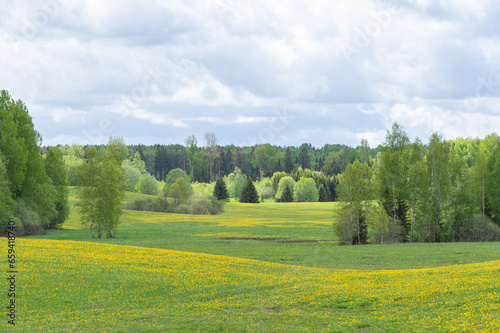 Spring landscape with green and yellow blooming fields and hills among forest on cloudy day