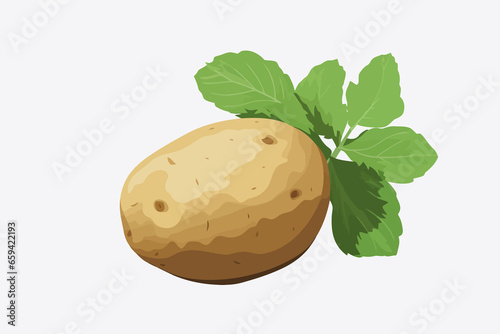 potato vector flat minimalistic asset isolated vector style illustration