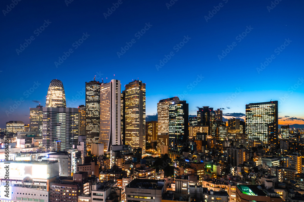 東京の夜景, 新宿の高層ビル群  ~Night view of Tokyo, Japan~
