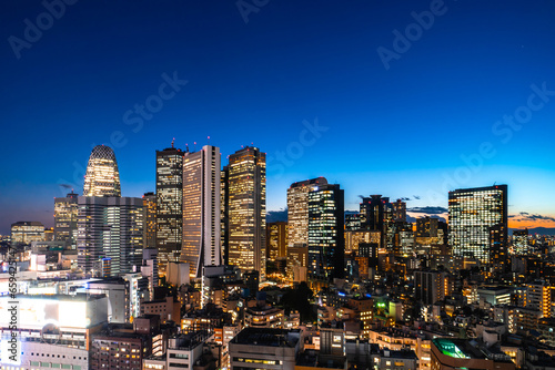 東京の夜景, 新宿の高層ビル群 ~Night view of Tokyo, Japan~