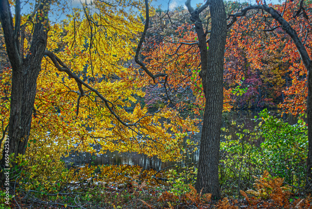 Autumn Branches Autumn Branches