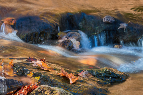 yellow and red autumn leaves lying on wet stone in rocky clear mountain stream, little waterfall cascade, autumn concept