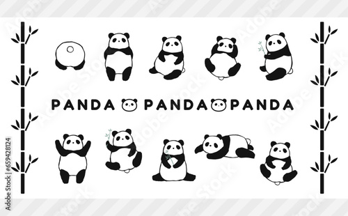 Panda illustration