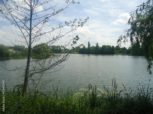 Fishing spot near lake at the summer