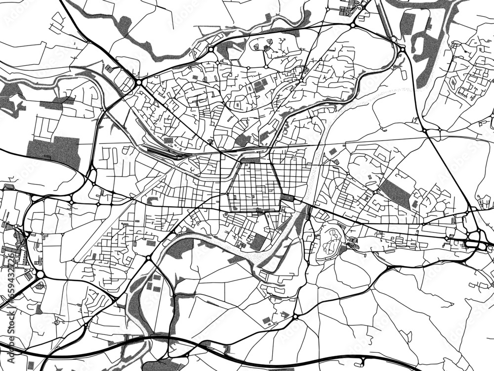 Greyscale vector city map of  Carcassonne in France with with water, fields and parks, and roads on a white background.