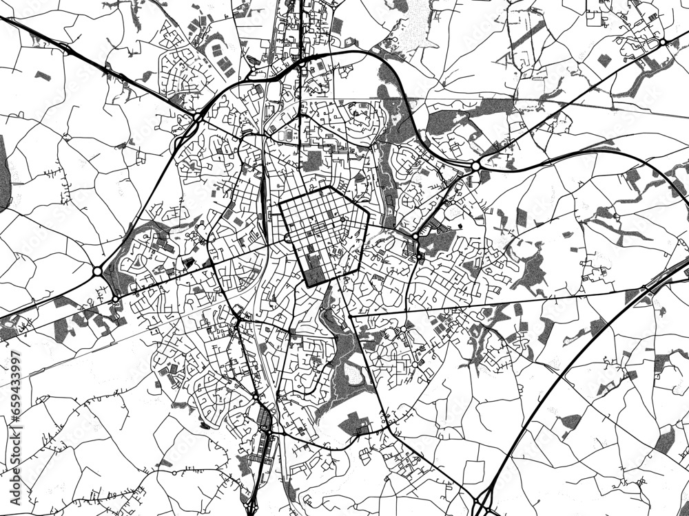 Greyscale vector city map of  La Roche-sur-Yon in France with with water, fields and parks, and roads on a white background.