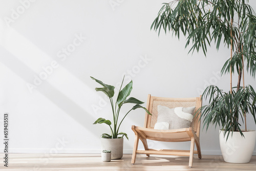 View of modern scandinavian style interior with chair and green plants, Home staging, green living and minimalism concept