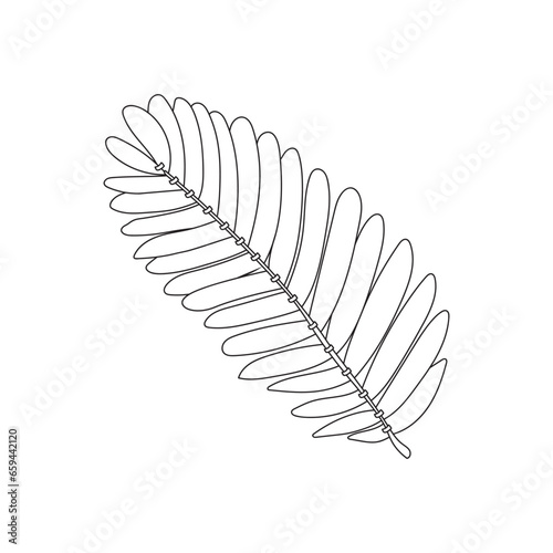 Obraz na plátne Hand drawn Kids drawing Cartoon Vector illustration sensitive plant leaves Isola