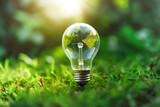 Crystal light bulb with world map on green grass on a meadow. Symbol for alternative energy sources sustainable living environment friendly technology concept