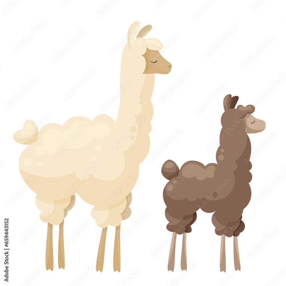Naklejka premium Cute llama family, curly llama mom with baby. Animal parent and its baby. Vector illustration, poster design, decorative illustration, baby and mother, mothers day, baby shower cards, happy alpacas