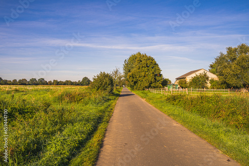 Eine Straße führt gerade an den Feldern hindurch.