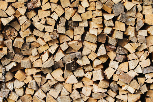 Firewood background. Wood industry background. Chopped wood texture. Stacked tree logs pattern. Pile of raw tree wood in forest. Tree cut cross section texture.