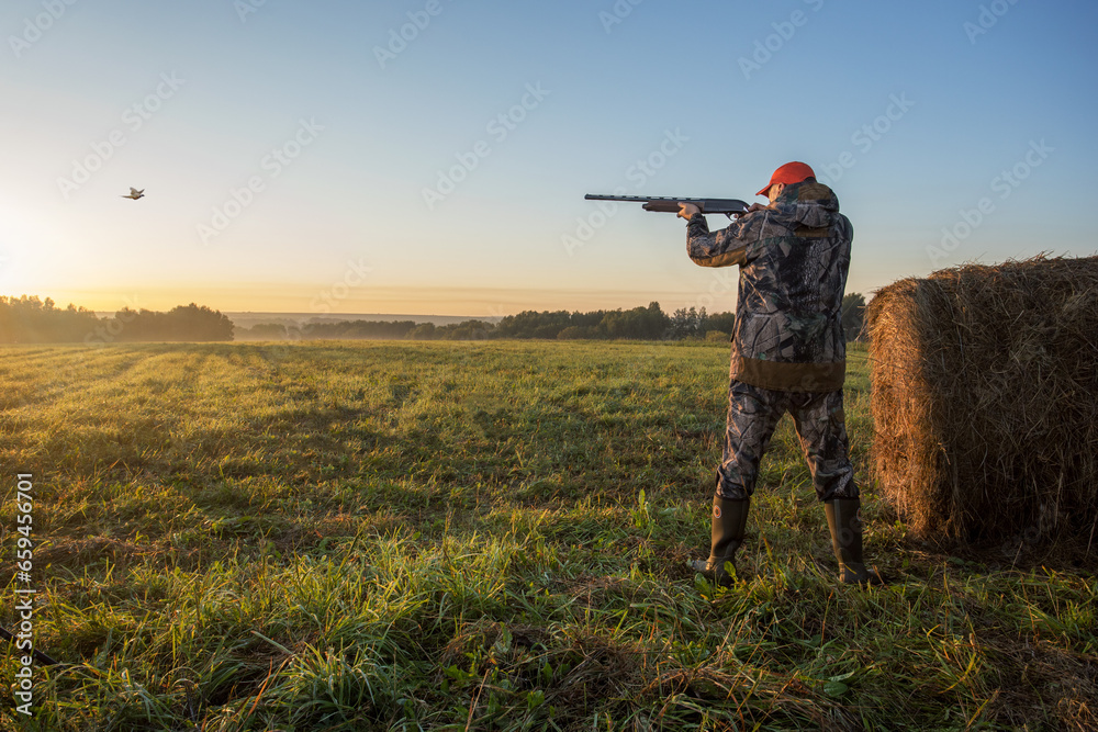 Hunter with shotgun rifle aimng at pheasant. Hunter with shotgun rifle aimng at pheasant.