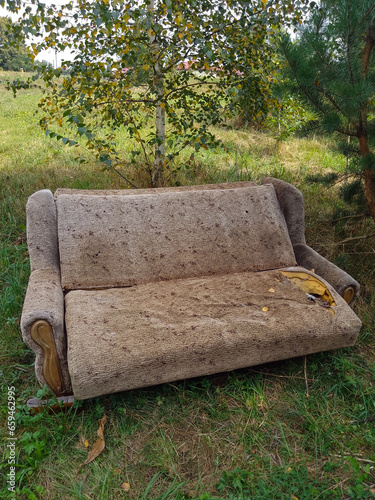 Old injured sofa in the wild