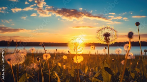  the sun is setting over a lake with a dandelion in the foreground. generative ai