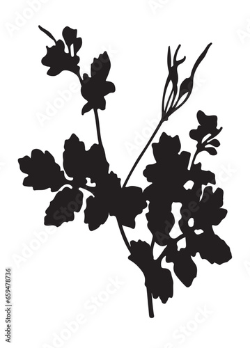 black and white vine leaves