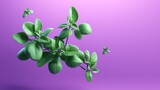  a branch of a plant with green leaves on a purple background.  generative ai
